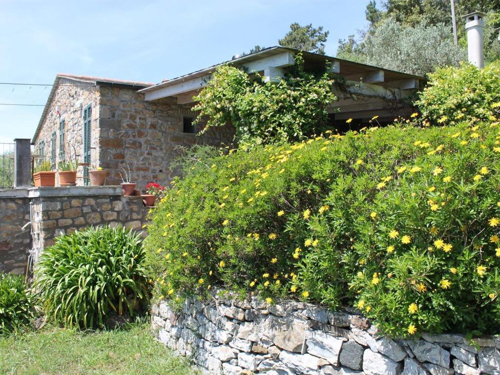 Cottage La Casa Del Pittore Reggimonti Exterior foto